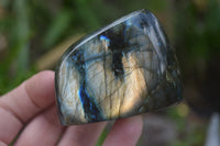 Polished Labradorite Standing Free Forms x 5 From Tulear, Madagascar - Toprock Gemstones and Minerals 