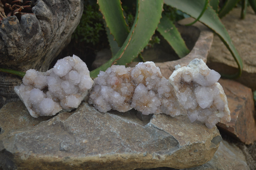 Natural Spirit Quartz Clusters x 3 From Boekenhouthoek, South Africa - Toprock Gemstones and Minerals 
