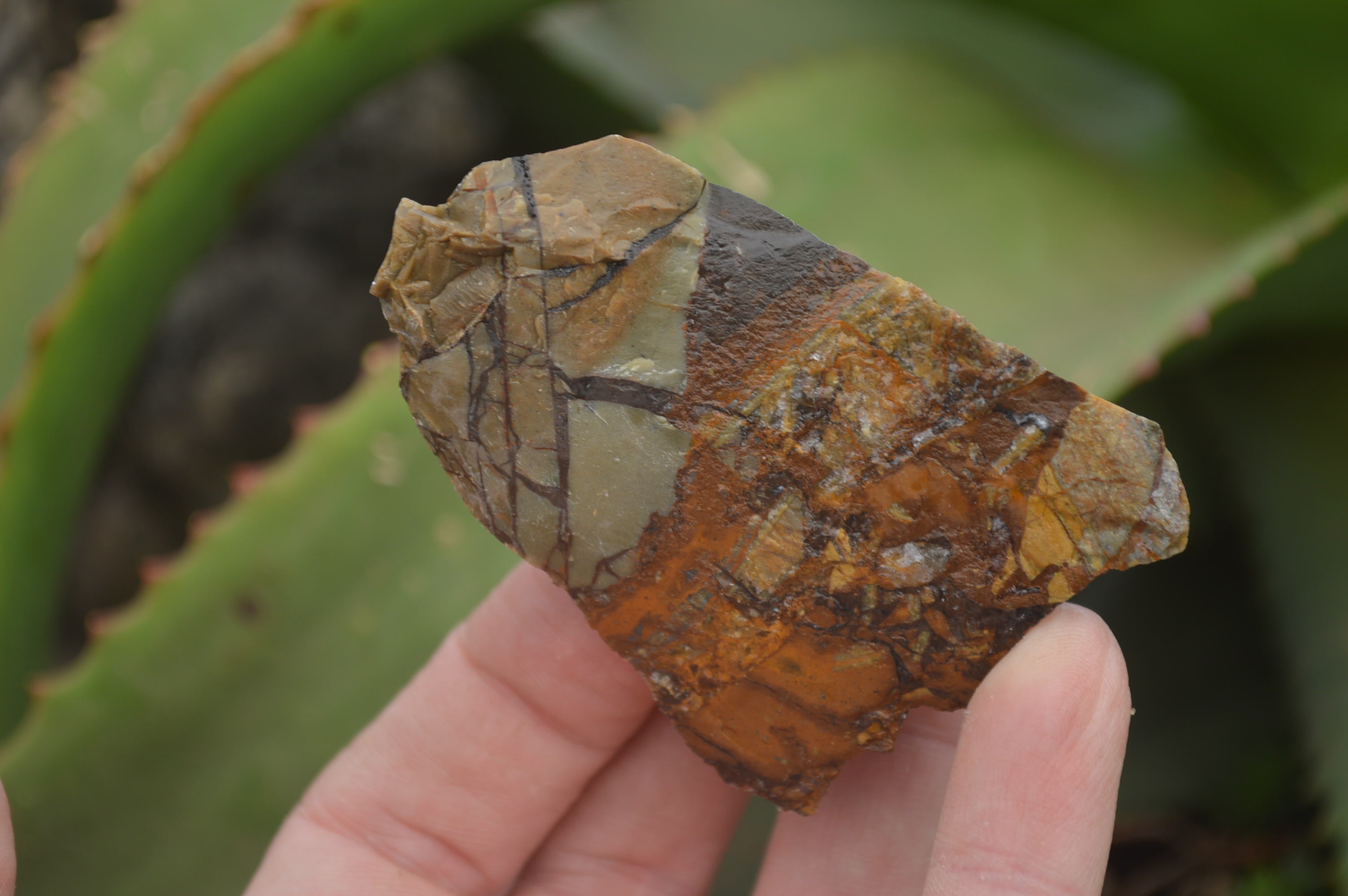 Natural Nguni Jasper Cobbed Specimens x 67 From Prieska, South Africa - Toprock Gemstones and Minerals 