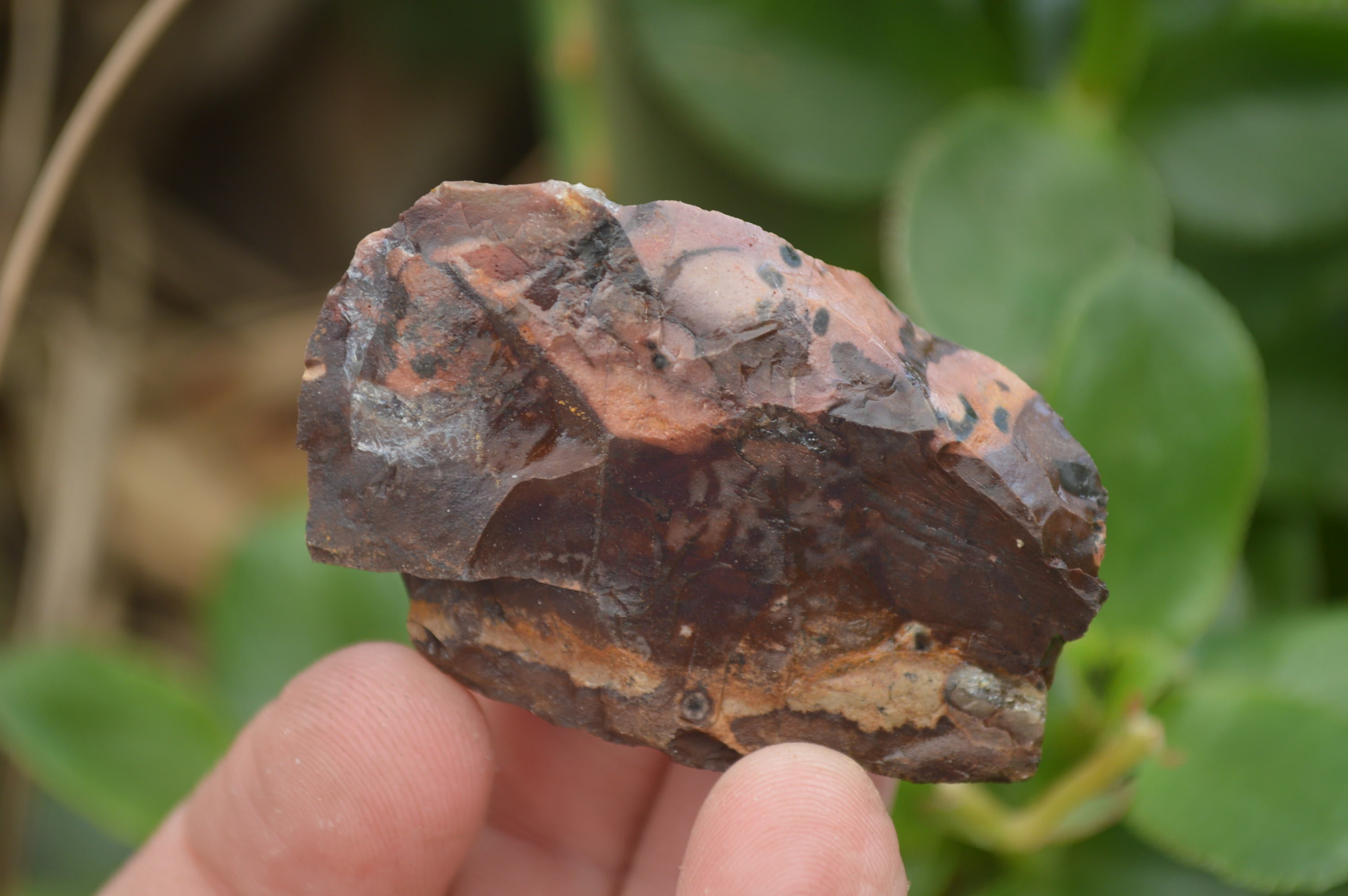 Natural Nguni Jasper Cobbed Specimens x 67 From Prieska, South Africa - Toprock Gemstones and Minerals 