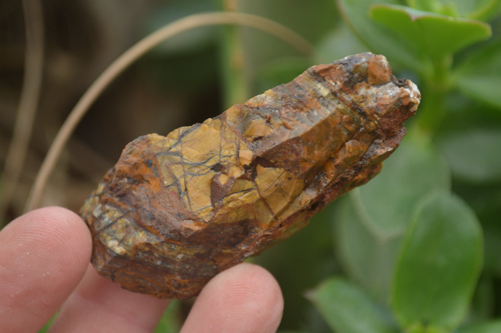 Natural Nguni Jasper Cobbed Specimens x 67 From Prieska, South Africa - Toprock Gemstones and Minerals 