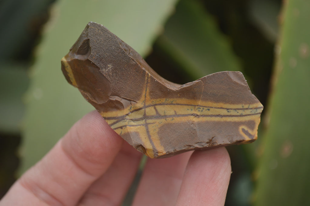 Natural Nguni Jasper Cobbed Specimens x 67 From Prieska, South Africa - Toprock Gemstones and Minerals 
