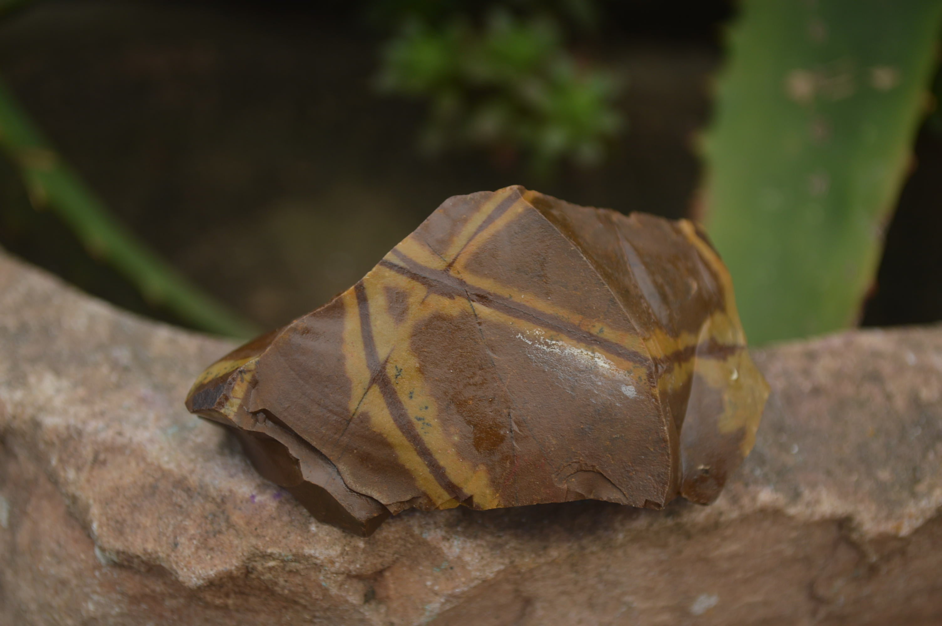 Natural Nguni Jasper Cobbed Specimens x 67 From Prieska, South Africa - Toprock Gemstones and Minerals 