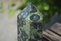 Polished Stromatolite Jasper Points x 3 From Katsepy, Madagascar
