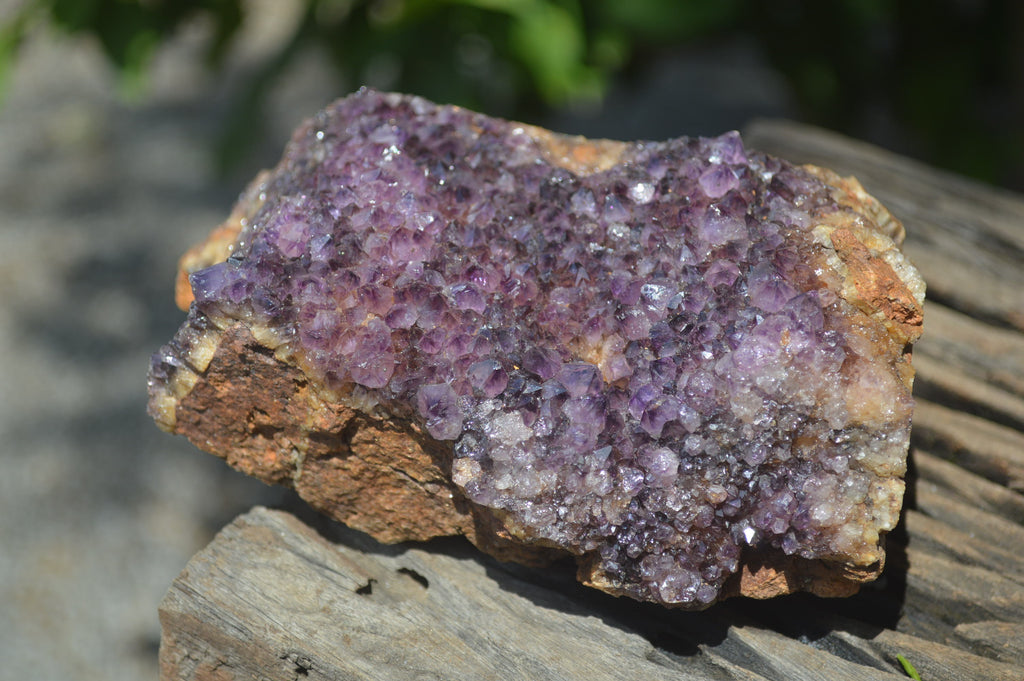 Natural Amethystos Amethyst Plates x 4 From Kwaggafontein, South Africa - Toprock Gemstones and Minerals 
