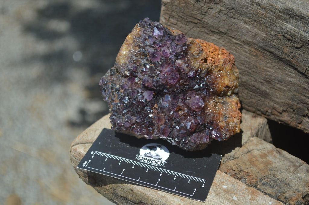 Natural Amethystos Amethyst Plates x 4 From Kwaggafontein, South Africa - Toprock Gemstones and Minerals 