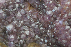 Natural Amethystos Amethyst Plates x 4 From Kwaggafontein, South Africa - Toprock Gemstones and Minerals 