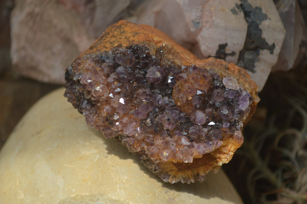 Natural Amethystos Amethyst Plates x 4 From Kwaggafontein, South Africa - Toprock Gemstones and Minerals 