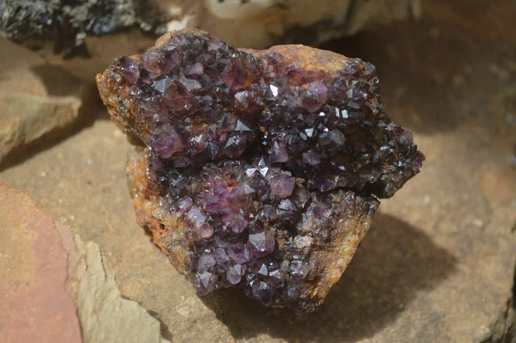 Natural Amethystos Amethyst Plates x 4 From Kwaggafontein, South Africa - Toprock Gemstones and Minerals 