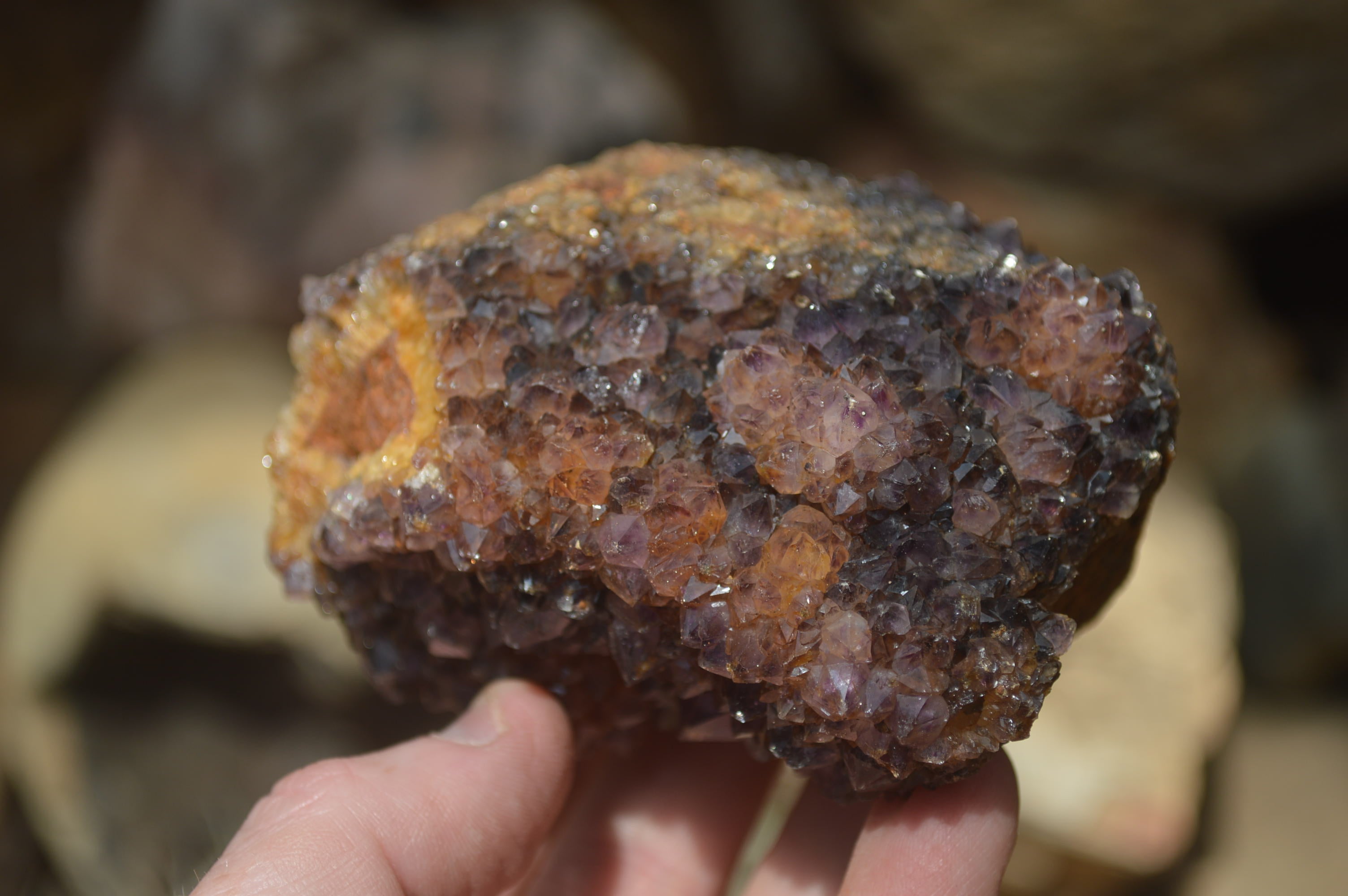 Natural Amethystos Amethyst Plates x 4 From Kwaggafontein, South Africa - Toprock Gemstones and Minerals 