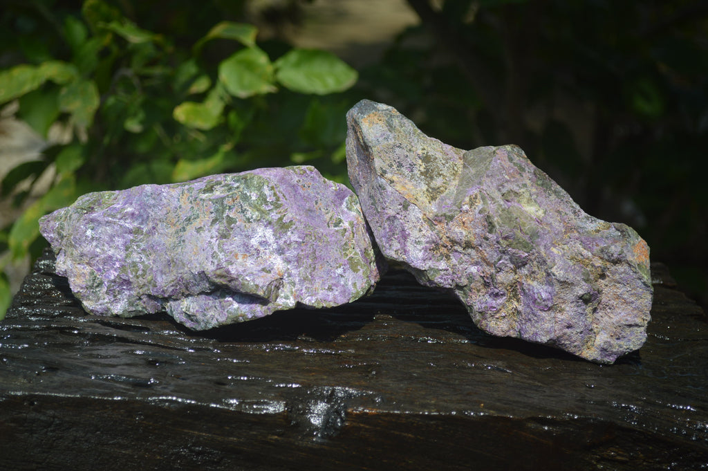 Natural Stichtite Specimens x 2 From Barberton, South Africa - Toprock Gemstones and Minerals 