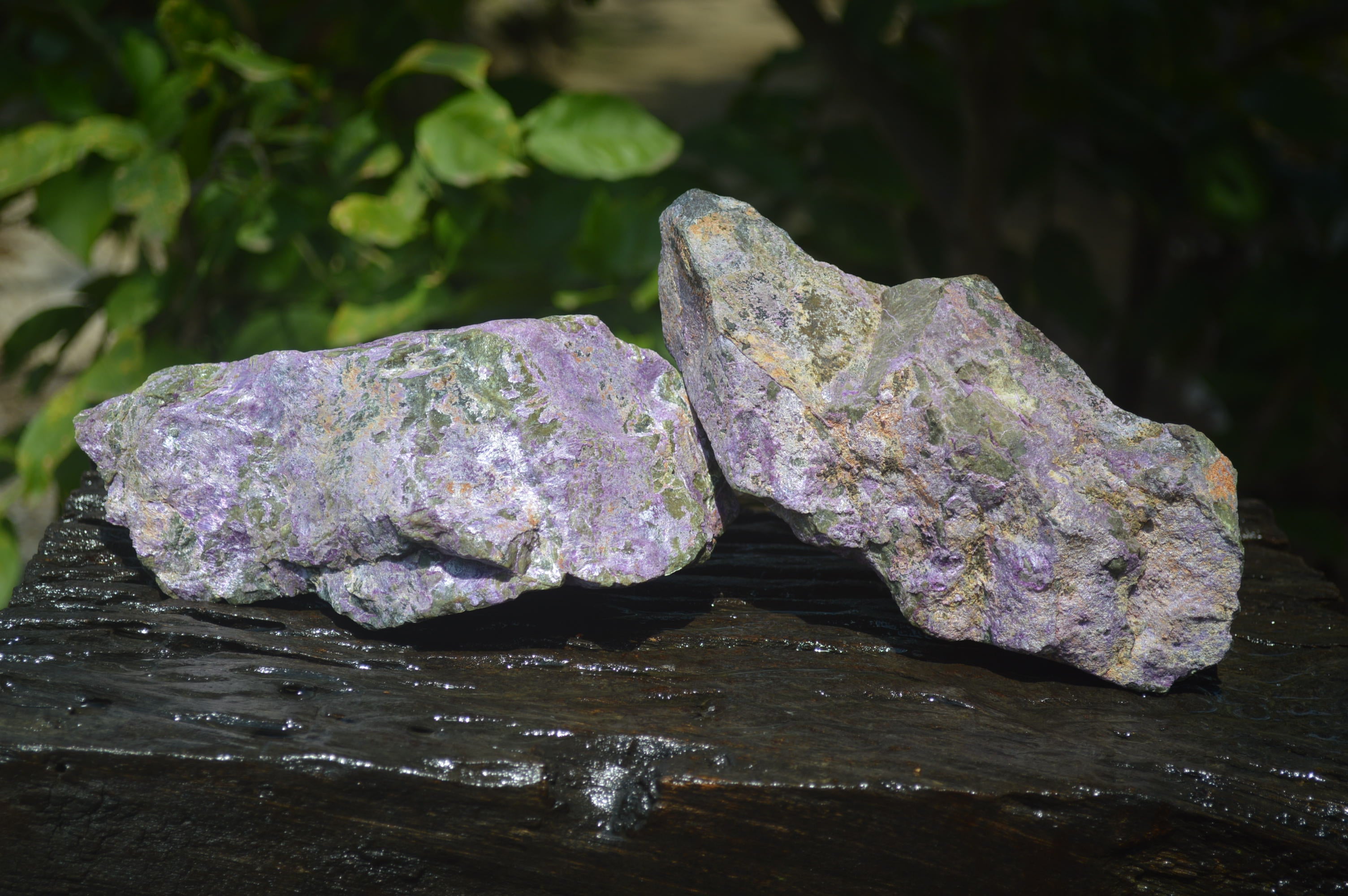 Natural Stichtite Specimens x 2 From Barberton, South Africa - Toprock Gemstones and Minerals 