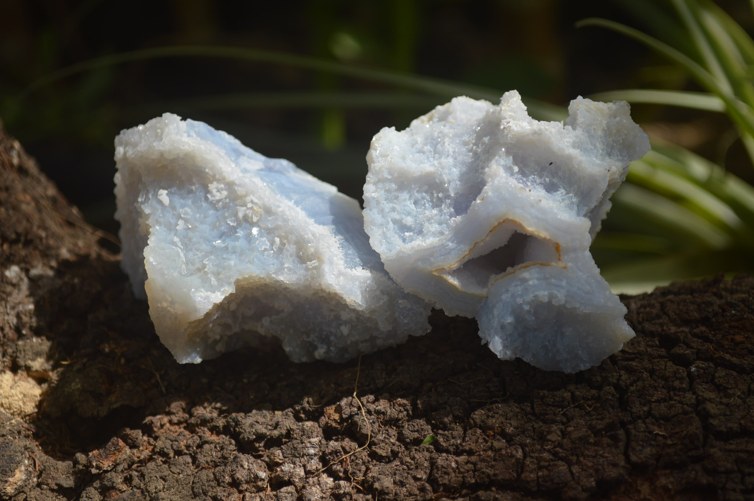 Natural Etched Blue Chalcedony Specimens x 12 From Nsanje, Malawi - Toprock Gemstones and Minerals 
