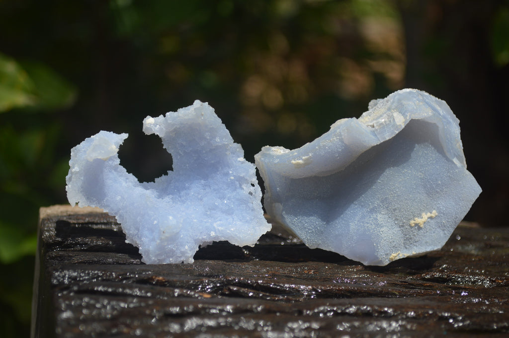 Natural Etched Blue Chalcedony Specimens x 12 From Nsanje, Malawi - Toprock Gemstones and Minerals 