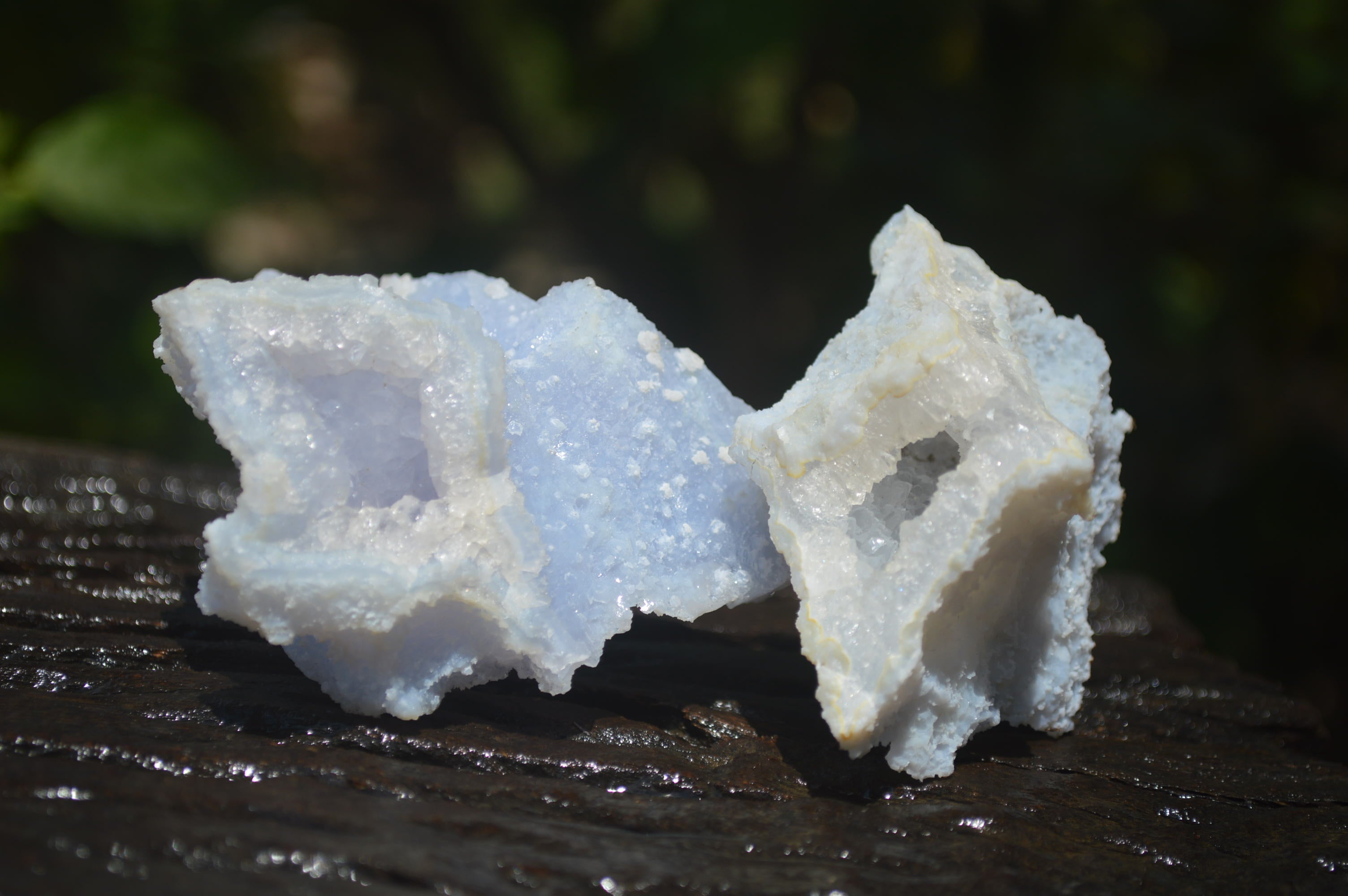 Natural Etched Blue Chalcedony Specimens x 12 From Nsanje, Malawi - Toprock Gemstones and Minerals 