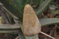 Polished Oceanic Fossil Standing Free Forms x 3 From Madagascar - Toprock Gemstones and Minerals 
