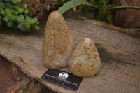 Polished Oceanic Fossil Standing Free Forms x 3 From Madagascar - Toprock Gemstones and Minerals 