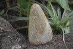 Polished Oceanic Fossil Standing Free Forms x 3 From Madagascar - Toprock Gemstones and Minerals 
