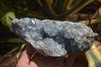 Natural Celestite Specimen x 1 From Sakoany, Madagascar - Toprock Gemstones and Minerals 