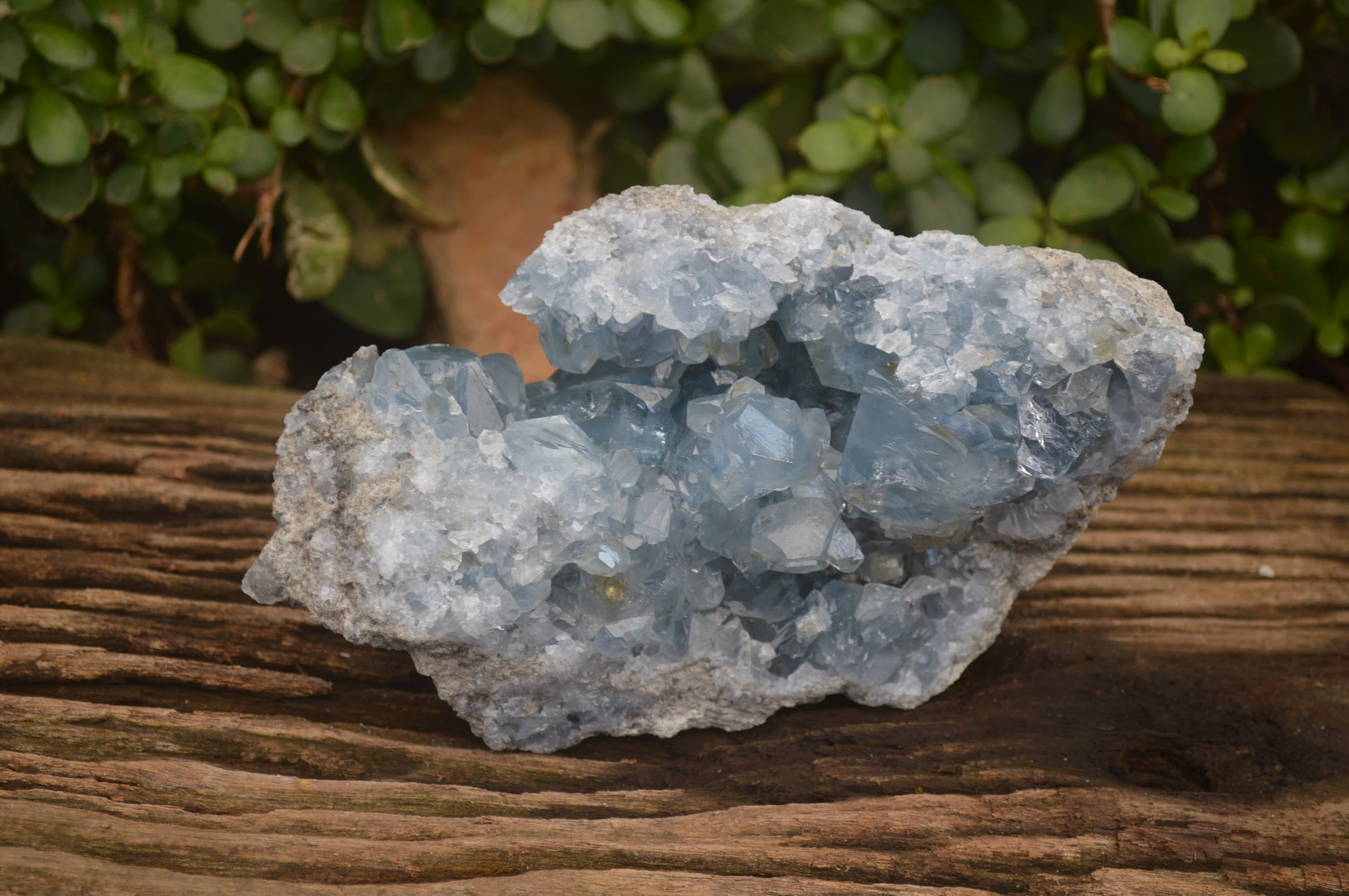 Natural Celestite Specimen x 1 From Sakoany, Madagascar - Toprock Gemstones and Minerals 