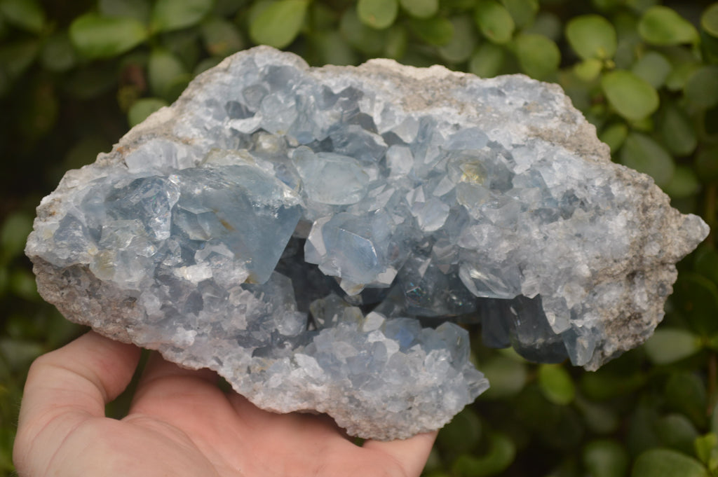 Natural Celestite Specimen x 1 From Sakoany, Madagascar - Toprock Gemstones and Minerals 