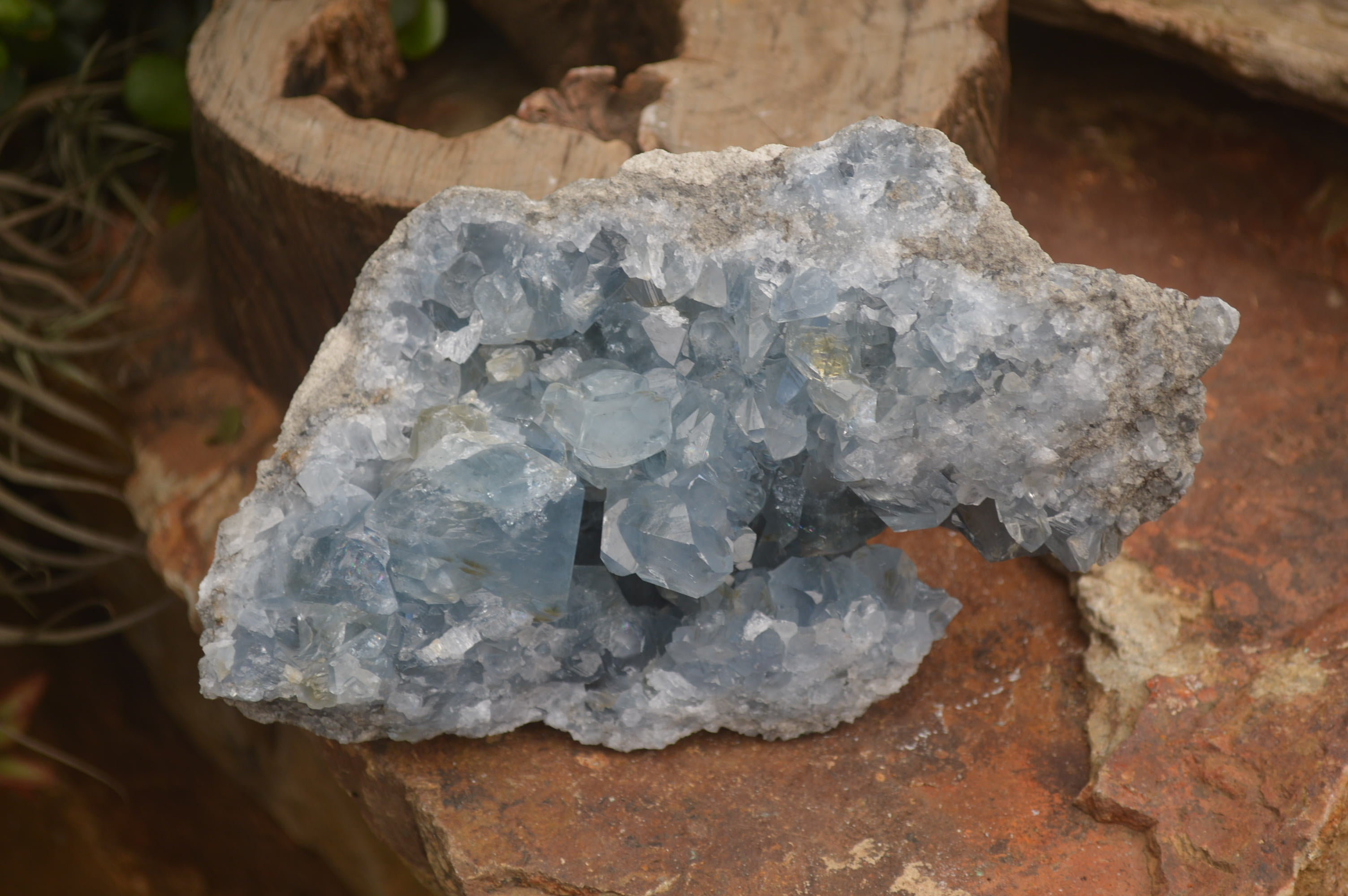 Natural Celestite Specimen x 1 From Sakoany, Madagascar - Toprock Gemstones and Minerals 