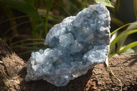 Natural Celestite Specimen x 1 From Sakoany, Madagascar - Toprock Gemstones and Minerals 