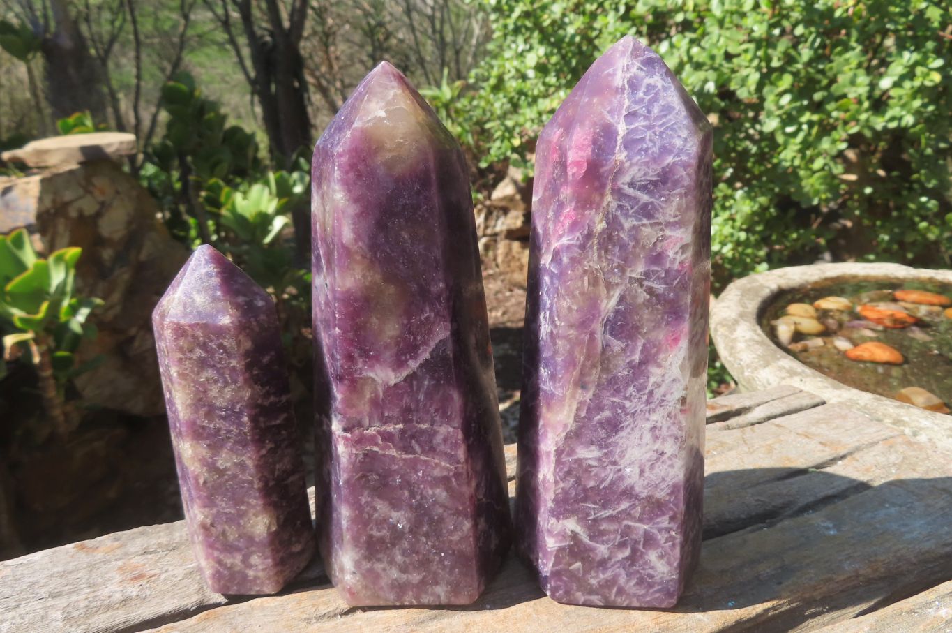 Polished Lepidolite Points x 3 From Madagascar - Toprock Gemstones and Minerals 