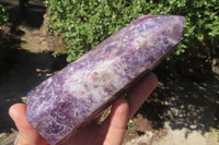 Polished Lepidolite Points x 3 From Madagascar - Toprock Gemstones and Minerals 