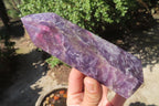 Polished Lepidolite Points x 3 From Madagascar - Toprock Gemstones and Minerals 