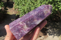 Polished Lepidolite Points x 3 From Madagascar - Toprock Gemstones and Minerals 