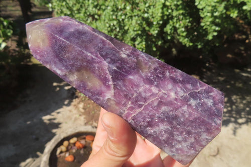 Polished Lepidolite Points x 3 From Madagascar - Toprock Gemstones and Minerals 