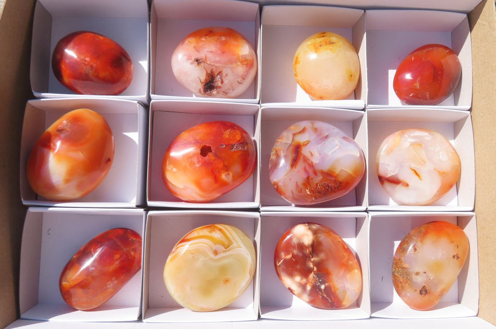 Polished Carnelian Palm Stones x 12 From Madagascar - Toprock Gemstones and Minerals 