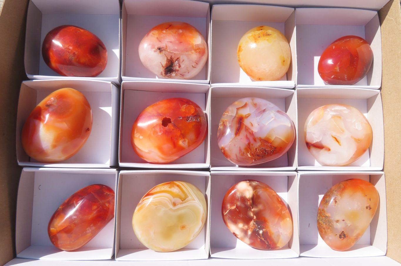 Polished Carnelian Palm Stones x 12 From Madagascar - Toprock Gemstones and Minerals 
