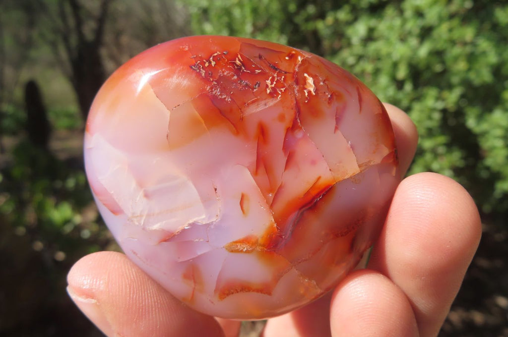 Polished Carnelian Palm Stones x 12 From Madagascar - Toprock Gemstones and Minerals 