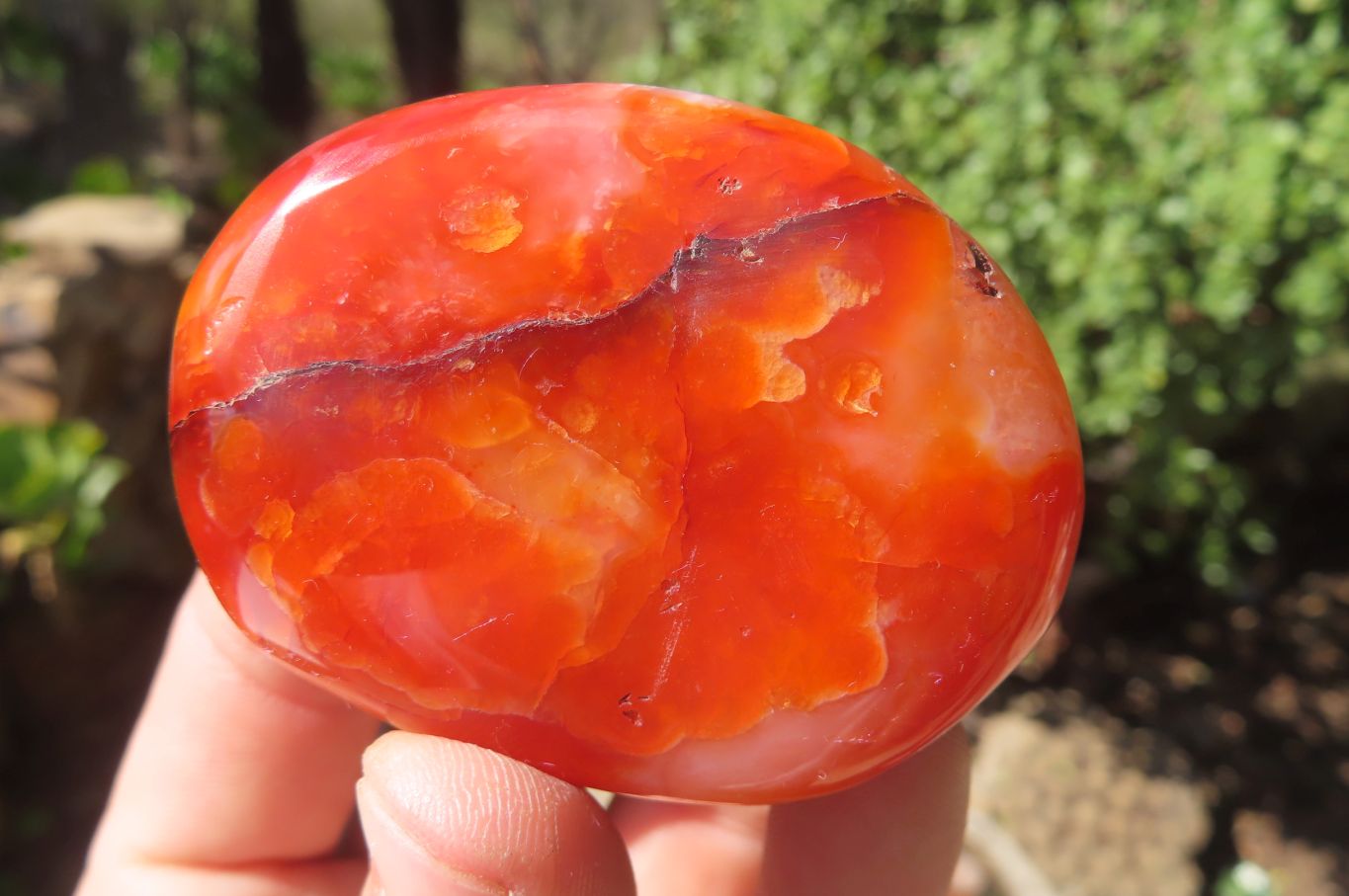 Polished Carnelian Palm Stones x 12 From Madagascar - Toprock Gemstones and Minerals 