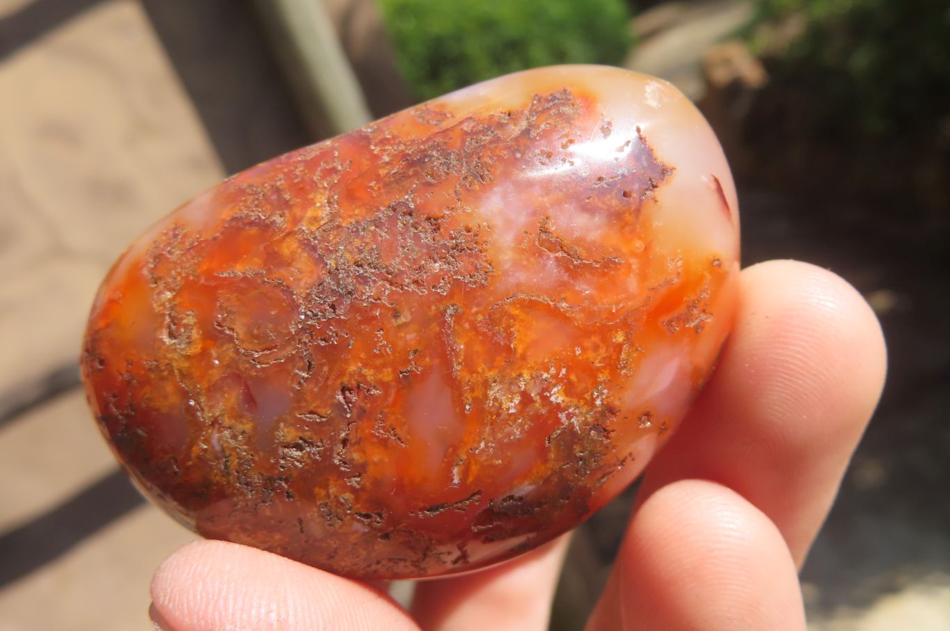 Polished Carnelian Palm Stones x 12 From Madagascar - Toprock Gemstones and Minerals 