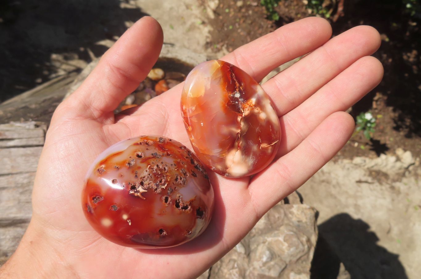 Polished Carnelian Palm Stones x 12 From Madagascar - Toprock Gemstones and Minerals 