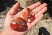 Polished Carnelian Palm Stones x 12 From Madagascar