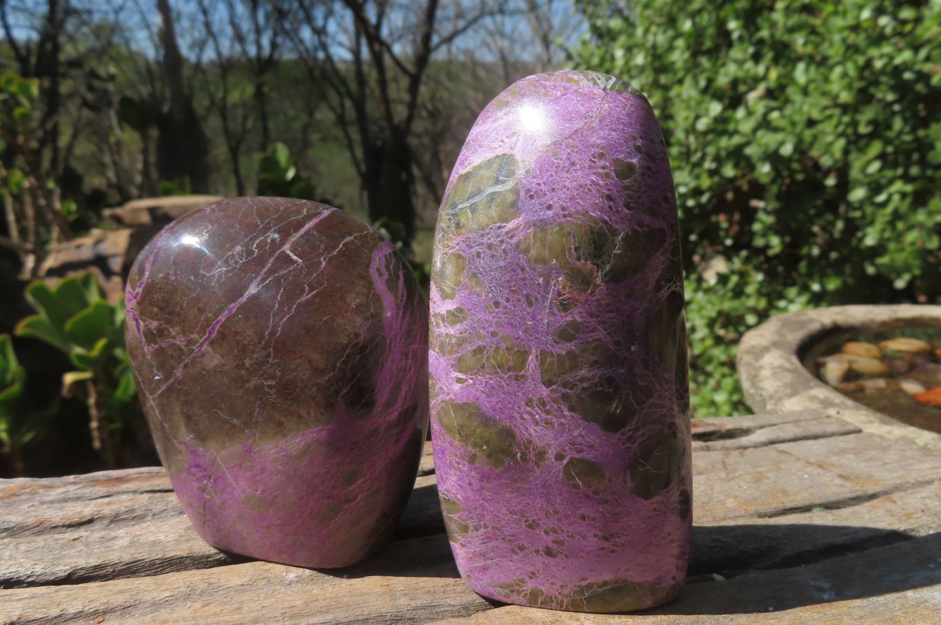 Polished Stichtite Standing Free Forms x 6 From Barberton, South Africa - Toprock Gemstones and Minerals 