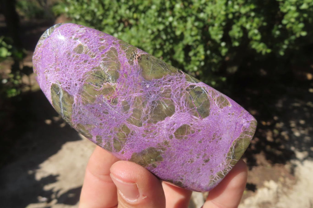 Polished Stichtite Standing Free Forms x 6 From Barberton, South Africa - Toprock Gemstones and Minerals 