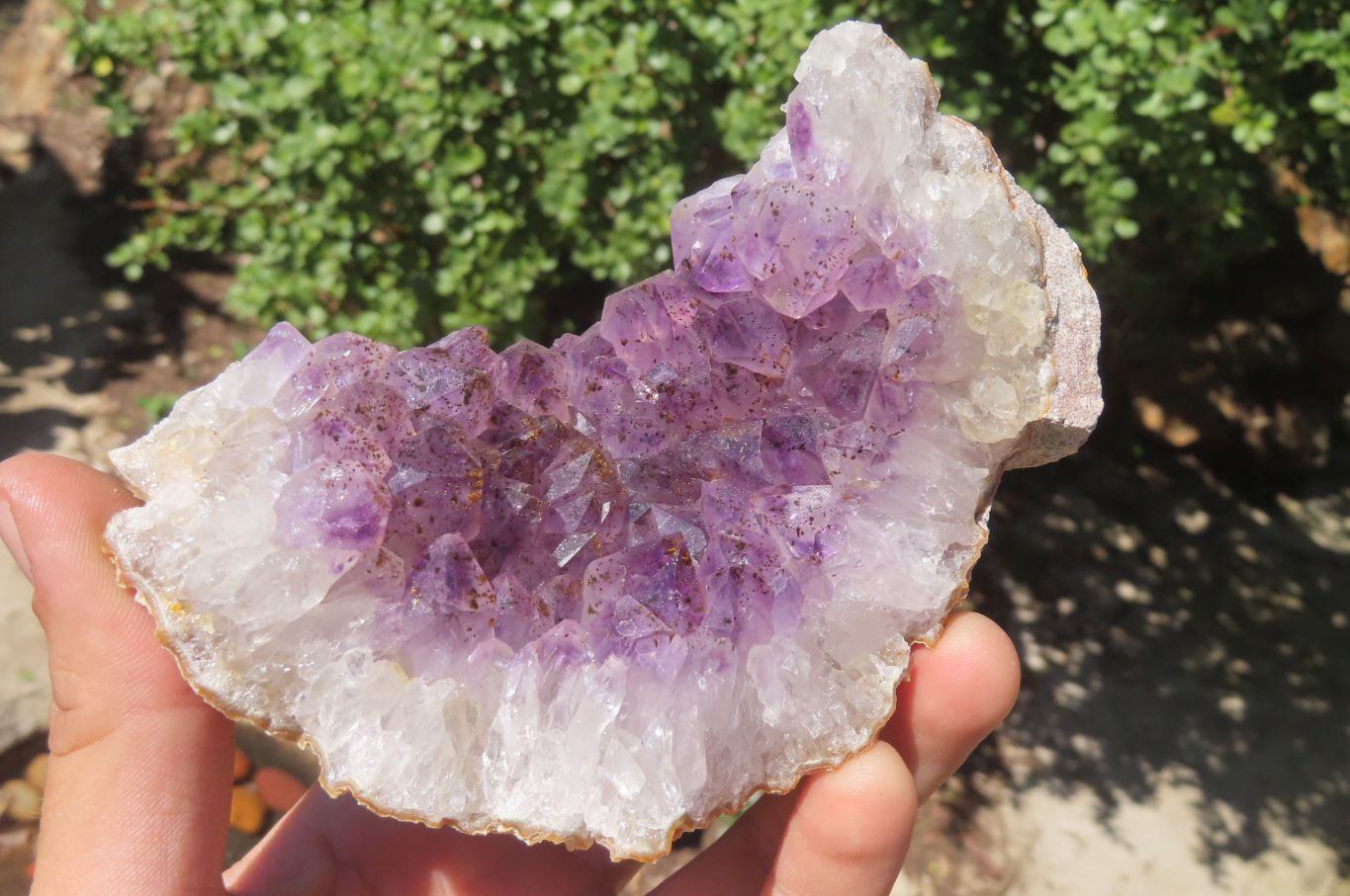 Natural Zululand Amethyst Agate Geodes x 3 from Jozini, South Africa - Toprock Gemstones and Minerals 