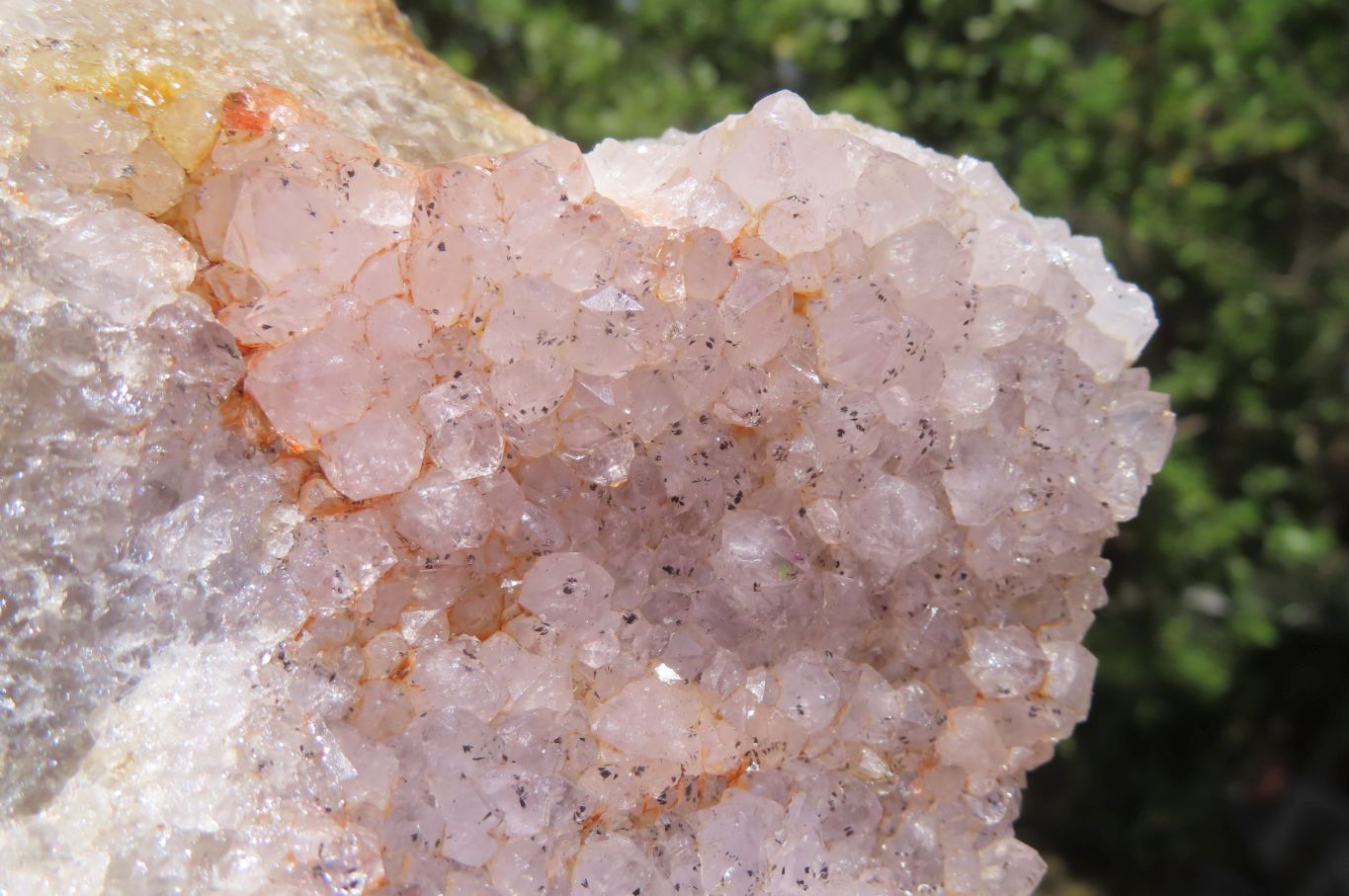 Natural Zululand Amethyst Agate Geodes x 3 from Jozini, South Africa - Toprock Gemstones and Minerals 