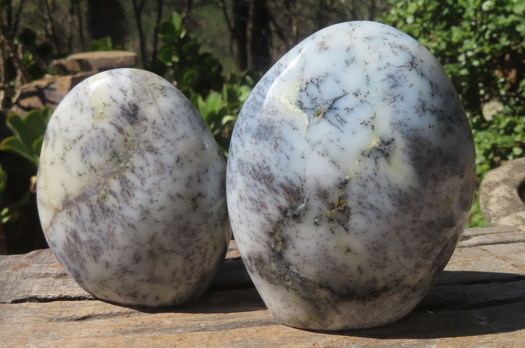 Polished Dendritic Opal Standing Free Forms x 3 From Madagascar - Toprock Gemstones and Minerals 