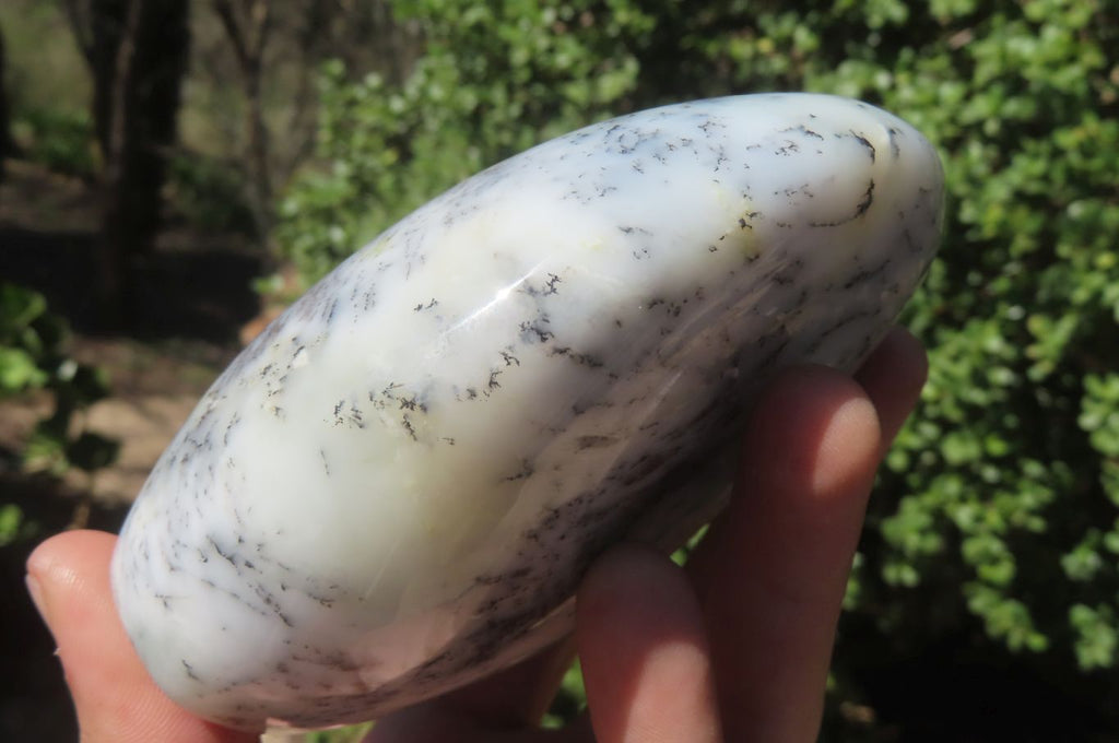 Polished Dendritic Opal Standing Free Forms x 3 From Madagascar - Toprock Gemstones and Minerals 