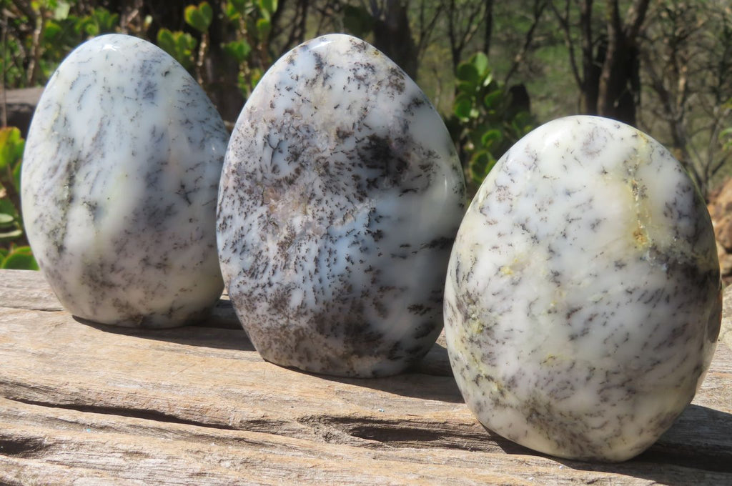 Polished Dendritic Opal Standing Free Forms x 3 From Madagascar - Toprock Gemstones and Minerals 