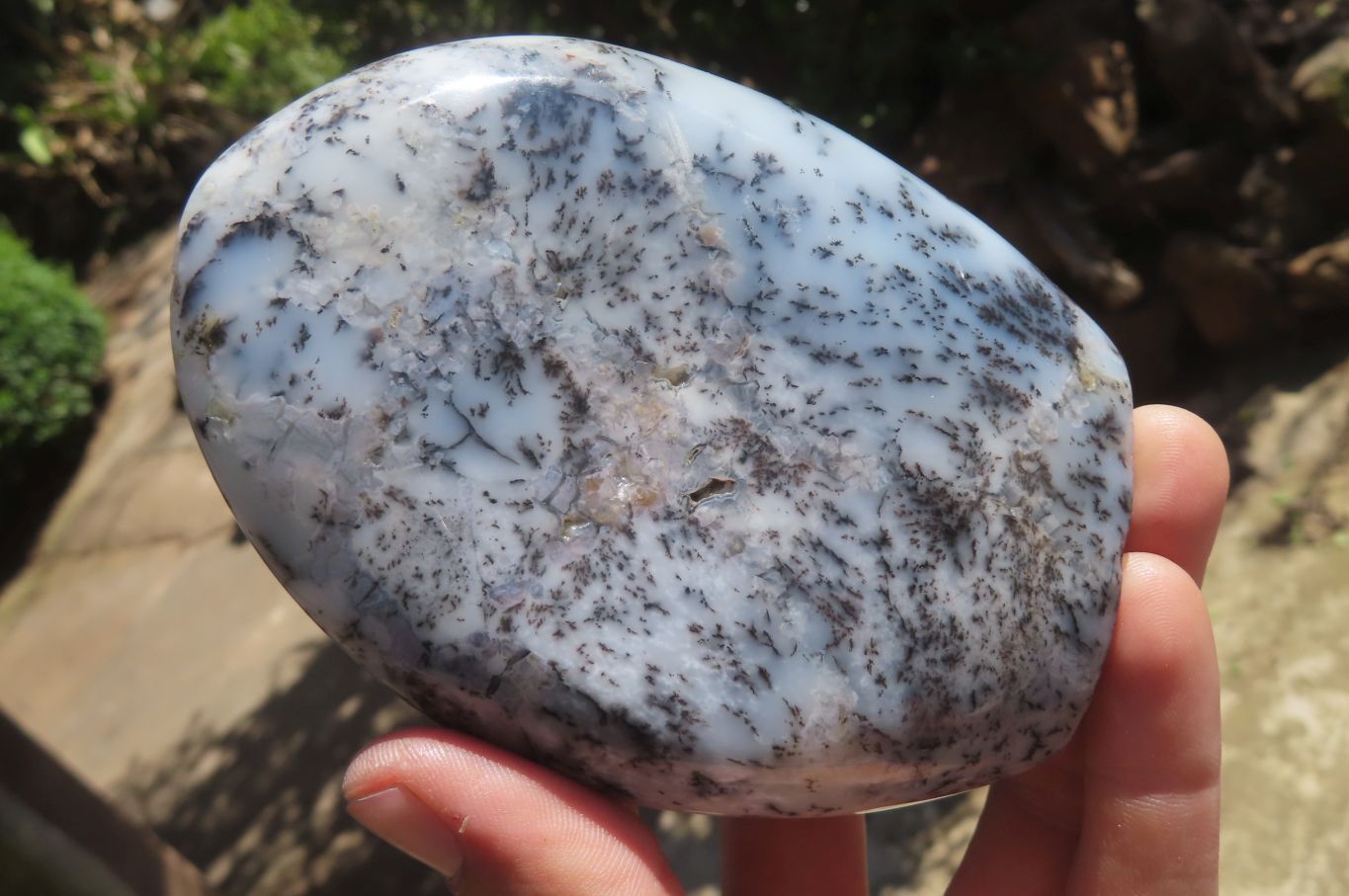 Polished Dendritic Opal Standing Free Forms x 3 From Madagascar - Toprock Gemstones and Minerals 
