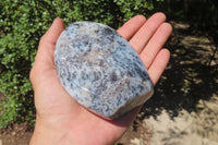 Polished Dendritic Opal Standing Free Forms x 3 From Madagascar - Toprock Gemstones and Minerals 