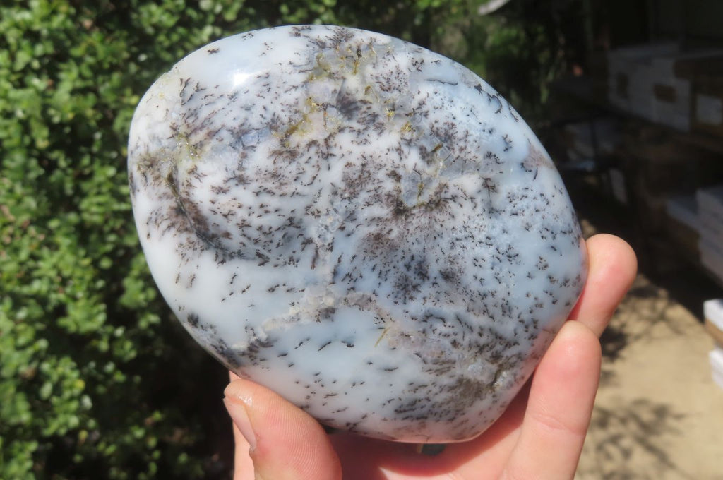 Polished Dendritic Opal Standing Free Forms x 3 From Madagascar - Toprock Gemstones and Minerals 