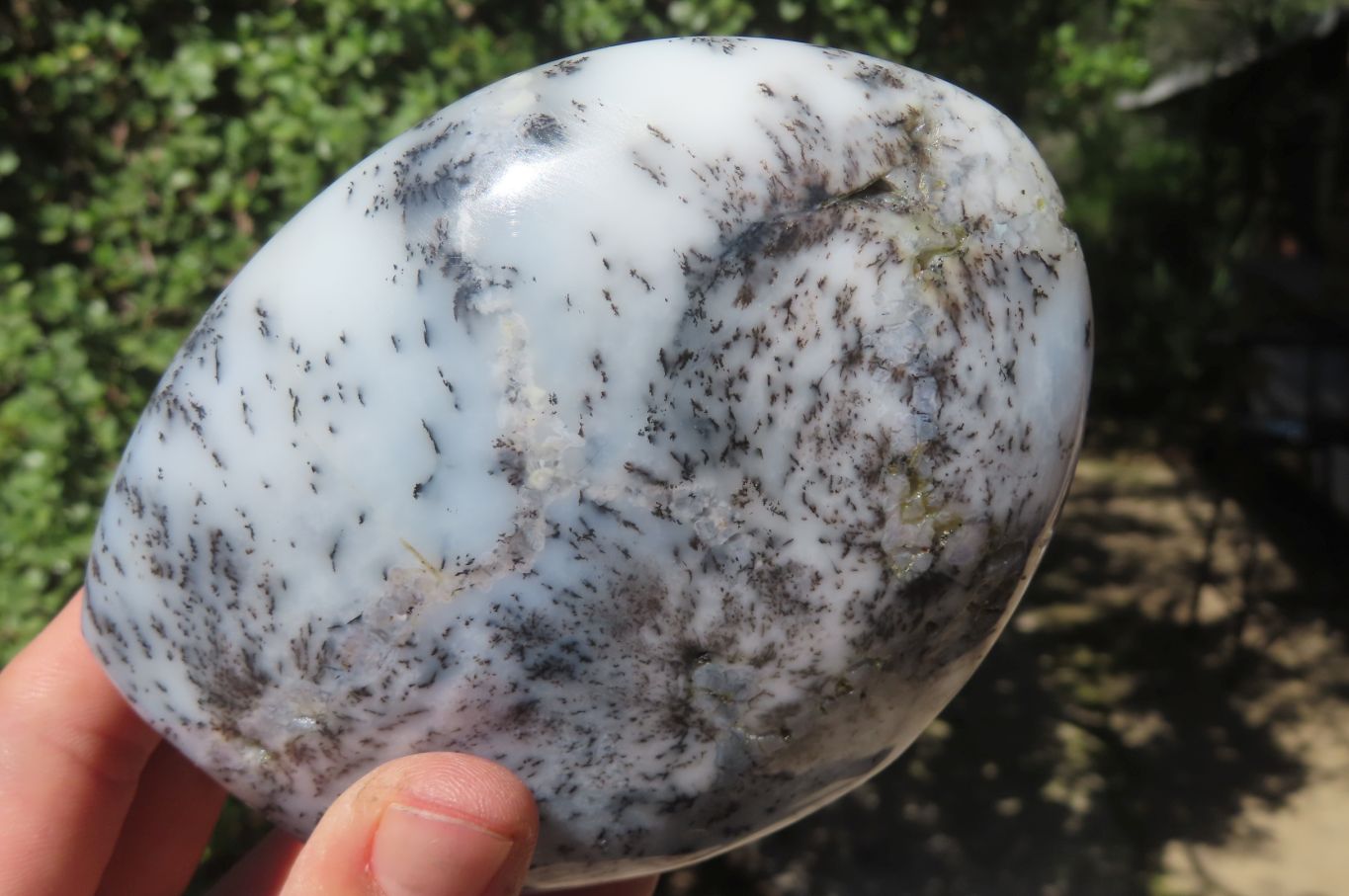 Polished Dendritic Opal Standing Free Forms x 3 From Madagascar - Toprock Gemstones and Minerals 